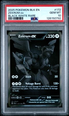 2025 Pokemon Blk En-Black Bolt Zekrom Ex Black White Rare #172 PSA 10