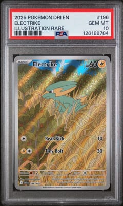 2025 Pokemon Dri En-Destined Rivals Electrike Illustration Rare #196 PSA 10